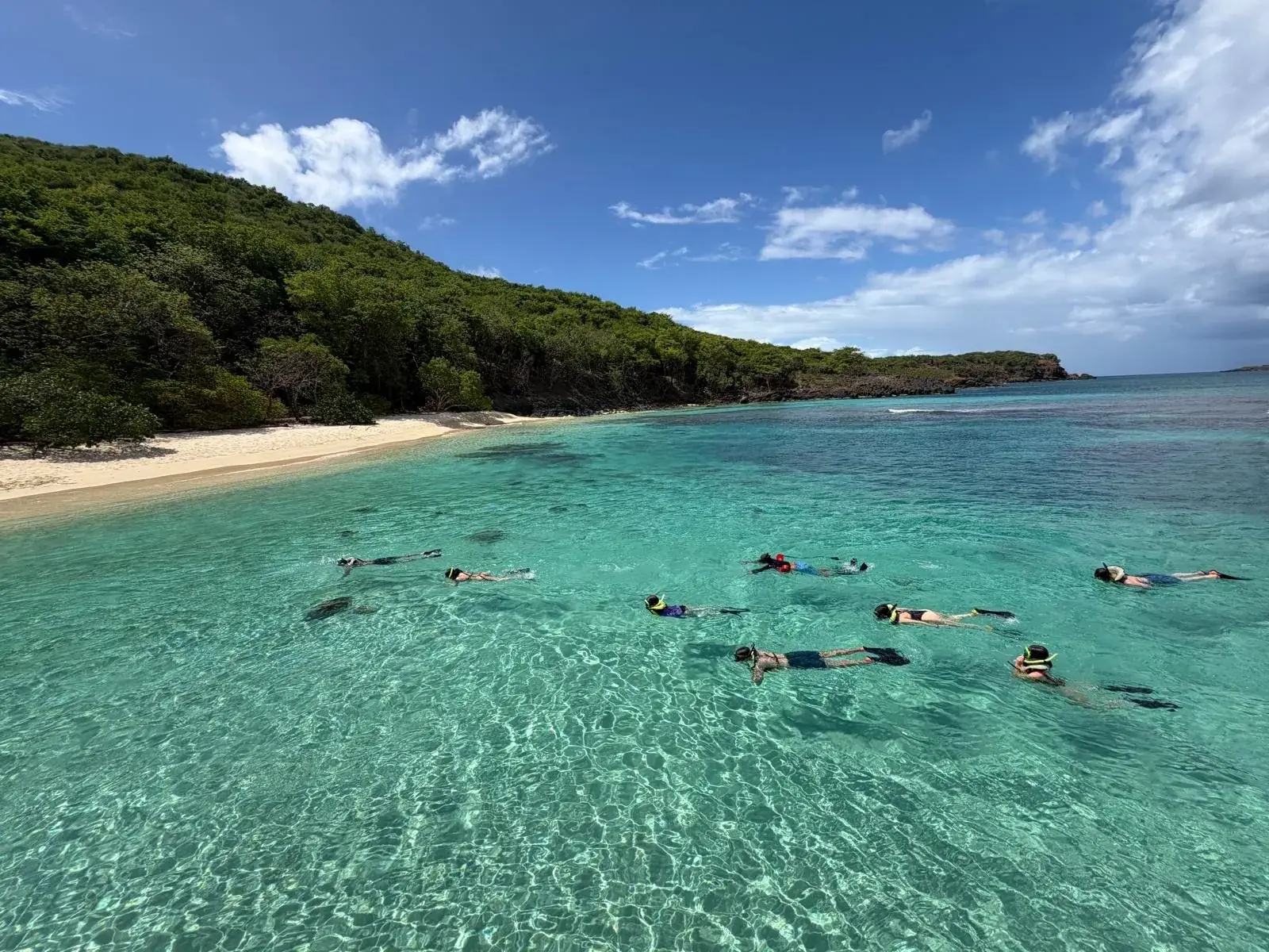 Snorkelers in clear turquoise water off a sandy beach with green hills near Culebra, Puerto Rico